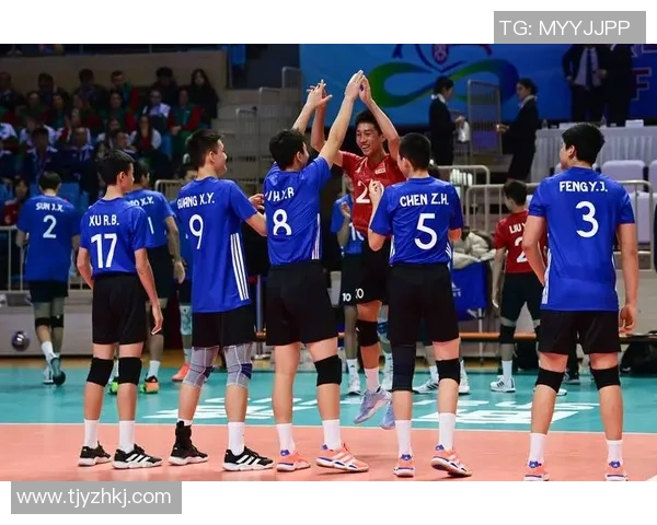 南京排球队灵活性引发热议球迷对战术调整看法不一